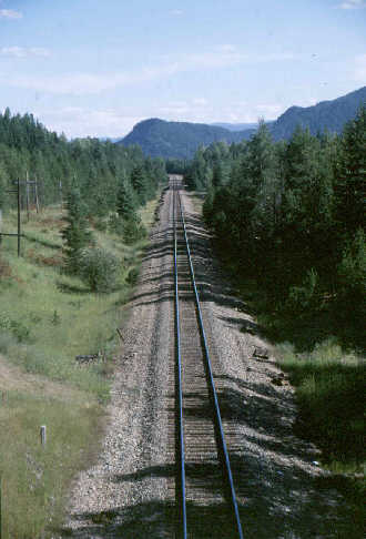 Train tracks disappearing into the distance.